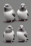 Placeholder: Chubby and cute pigeons