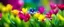 Placeholder: Colorful spring