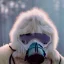 Placeholder: Yeti in a mask, background = (wildfires, mountains, fires, smoke, disaster)