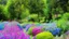 Placeholder: verybeautiful-magical-garden-of-the-angelic-kingdom-blue-and-pink-plants-and-trees-small-river-sunshine-flowers-haze-thumb-rainbow-ufo-bright-colors-light flowers