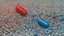 Placeholder: matrix red and blue pill, difference between dream and real world