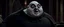 Placeholder: uncle fester snail in the adams family, saying "I know something about you."