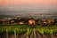 Placeholder: viñedos al atardecer con un pueblo al fondo, fotografía real, foto periodismo, fotografía realizada con una cámara Leica y un objetivo de 50mm