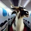 Placeholder: goat with dragon wings, floppy ears, on an airplane