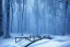 Placeholder: Forest ice palms twigs winter, bridge birds, bear, deer