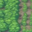 Placeholder: dirt road in the middle of a forest and round same size trees pokemon gameboy game style