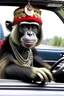 Placeholder: I am gypsy panda but i drive in Mercedes with monkey