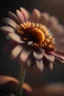 Placeholder: Flower cort,8k,sharp focus,hyper realistic, sony 50mm 1.4