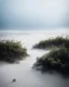 Placeholder: By Sergiо. Style by Greg Rudkowski. Thick white milky dense fog on a deserted beach with lonely bushes.