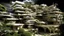 Placeholder: Morphology Form: Cross Operation: Translated Program: Moor Scale: Miniature Modifiers Random: Futuristic Context: Tropical Architect: Enric Miralles Architectural Style: Expressionist Material/Texture: Vinyl Visualization Visualization Style: Virtual Tour Representation: Ext