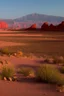 Placeholder: a red blooded desert valley