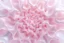 Placeholder: Mesmerizing abstract 3d visual, mass of flowing translucent shapes, centered, soft aesthetic, negative space.