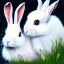 Placeholder: white rabbit portrait