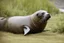 Placeholder: Seal of approval