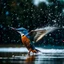 Placeholder: Kingfisher flying on a pond, water splashing around and sky blue theme and heavy rain and cooler temperature