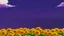 Placeholder: purple sky full of stars, sunflower field, anime