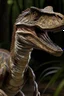Placeholder: velociraptor real