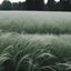 Placeholder: I thought to myself What could that mean? Am I going crazy Or is this just a dream? Now wait a minute I know I'm lying in a field of grass somewhere So it's all in my head And then I heard her say one more time