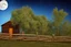 Placeholder: Dry trees, night, full moon, cabin, yard with flowers, fence, background pc