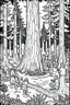 Placeholder: Under the vast canopy of ancient redwood trees, a group of friends dances joyously around a roaring campfire. The towering trees create a cathedral-like atmosphere, and the bonfire's flames illuminate the massive trunks, conveying the profound connection with nature and the freedom of uninhibited expression..coloring book page, simple and clean line art, adult drawing book, black and white, crisp black lines, no shades, sharp lines, coloring book for adults, cartoon style, landscape