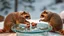 Placeholder: ice bear squirrel raccoons playing land hockey on glass table on ceres