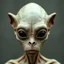 Placeholder: Organic with a biological mad skin texture of an alien face an animal look without nose and big black eyes and no ears
