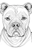 Placeholder: Outline art for coloring page of an american bully, coloring page, white background, Sketch style, eye level, only use outline, clean line art, white background, no shadows, no shading, no color, clear