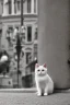 Placeholder: Small cat sitting in the foreground of street in Vienna Austria