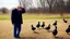 Placeholder: old man talks on phone while chasing ducks away, looking very confused