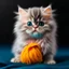 Placeholder: A miniature baby kitten the size of a grain, with maxi huge round expressive eyes of heavenly color, and long eyelashes, an ashy Persian, dressed in a jumpsuit with a backlight from inside a bright color and ugg boots. colorful