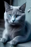 Placeholder: חתול כחול חמוד