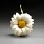 Placeholder: Wool bobbin shaped like a white daisy flower. front view. bottomless.