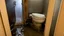 Placeholder: Hotel room toilet full of sewage overflows while man tries to still defecate into it