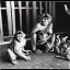 Placeholder: Old photo of monkey with dancing cats