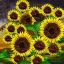 Placeholder: above a field of sunflowers the Milky Way curves in a summer sky digital art