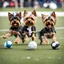 Placeholder: Yorkshire Terriers playing football.