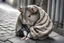 Placeholder: One single mature homeless hamster with worn out clothes, sleeping in a corner on the street, sound and realistic paws, Vienna, model style, hyper realistic, extremely accurate, delicate, extremely detailed, Graphic novel style, wide-angle, open aperture, superfine pencil