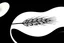 Placeholder: Graphic element of wheat sheaf, vertical, black on white vector