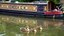 Placeholder: Historic traditional English canal barge, long boat on an English canal. The boat is beautifully painted in an ornate, colourful traditional style. A female duck and five tiny ducklings are swimming on the canal. Award-winning colour photograph.