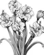 Placeholder: real massive Gladiolus flower coloring page