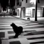 Placeholder: At midnight, a big and brutal dog in the sidewalk is barking at strangers in the street. Some cars run fast on the road.