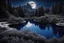 Placeholder: black, blue and white colors, fullmoon, pond, mountain, forest