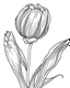 Placeholder: real massive Tulip flower coloring page