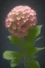 Placeholder: an isolated translucent hydrangea plant, 3d render, art nouveau style, ultra realistic, masked transparent flat background, backlight, popular on sketchfab, pixelsquid, 8k, volumetric lighting, super focused, no blur, trending on artstation, octane render, ultra detailed, hyperrealistic, by artgerm and alphonse mucha