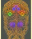 Placeholder: brain, neural network. high detailed. poster