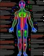 Placeholder: Fantasy00d Technical Diagram, Info graphic, Charts, of A Cosmic Anatomical Human body, Info Graphic, Scientific, Data Diagram, Nervous System, Galaxy, Vibrant Colors, Midnight Aura, Ultra Detailed, H.R. Giger, Max Ernst, Thomas Kinkade, Robert Gonsalves, dark background