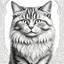 Placeholder: create an adult coloring book page of a detailed realistic fluffy cat standing , black and white, bold outline, easy to color, white background