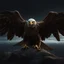 Placeholder: eagle vision top view, perfect composition, beautiful detailed intricate insanely detailed octane render trending on artstation, 8 k artistic photography, photorealistic concept art, soft natural volumetric cinematic perfect light, chiaroscuro, award - winning photograph, masterpiece, oil on canvas, raphael, caravaggio, greg rutkowski, beeple, beksinski, giger
