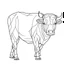 Placeholder: bull, animal, full view, realistic face, coloring page, only draw lines, coloring book, clean line art, –no sketch, color, –ar 3:4, white background, minimalistic black lines, minimal black color, low level black colors, coloring page, avoid thick black colors, thin black line art, avoid colors, perfect shape, perfect clear lines,