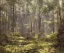 Placeholder: A forest, highly detailed oil painting, unreal 5 render, rhads, bruce pennington, tim hildebrandt, digital art, octane render, beautiful composition, trending on artstation, award-winning photograph, masterpiece